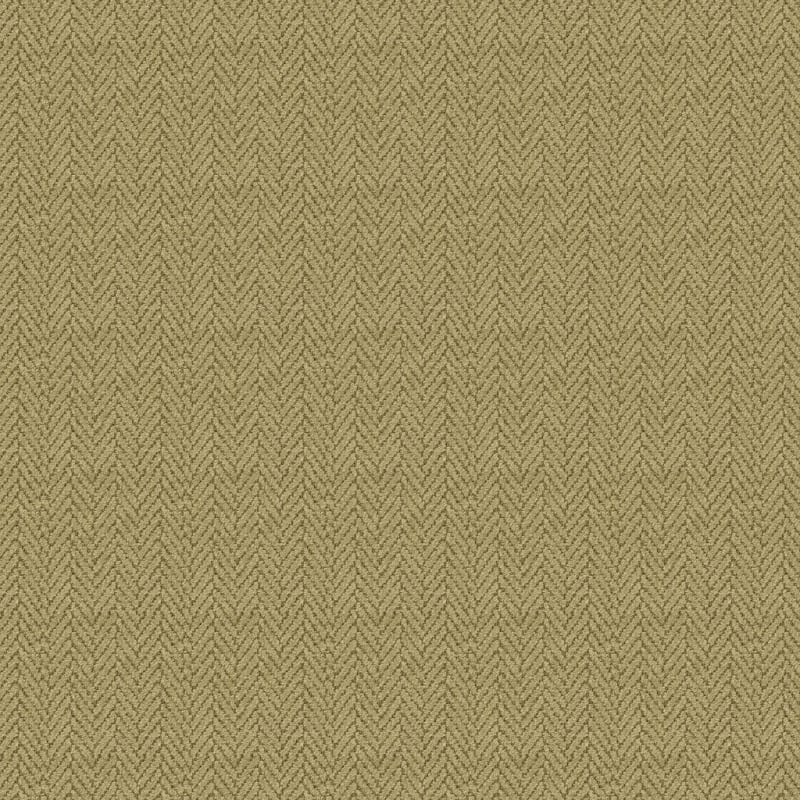 Distinguished carpet by Masland