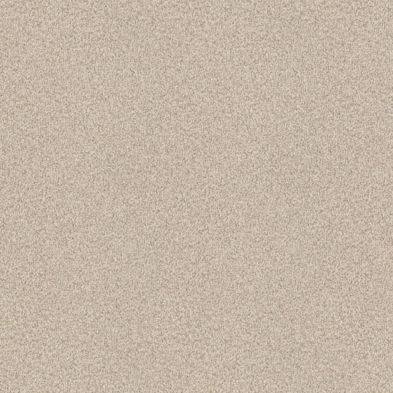 Santa Rosa carpet by Masland