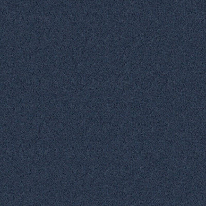 Panache carpet by Masland
