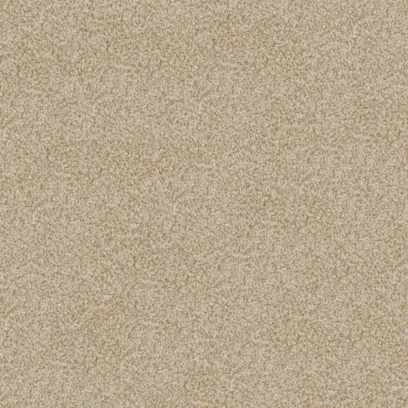 Boca Raton carpet by Masland