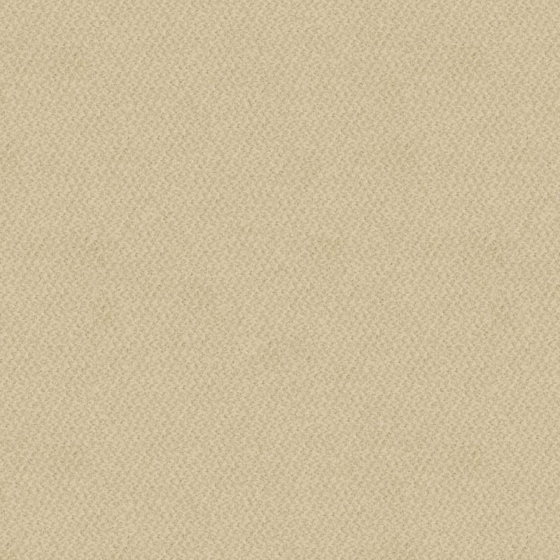 New Hope carpet by Masland