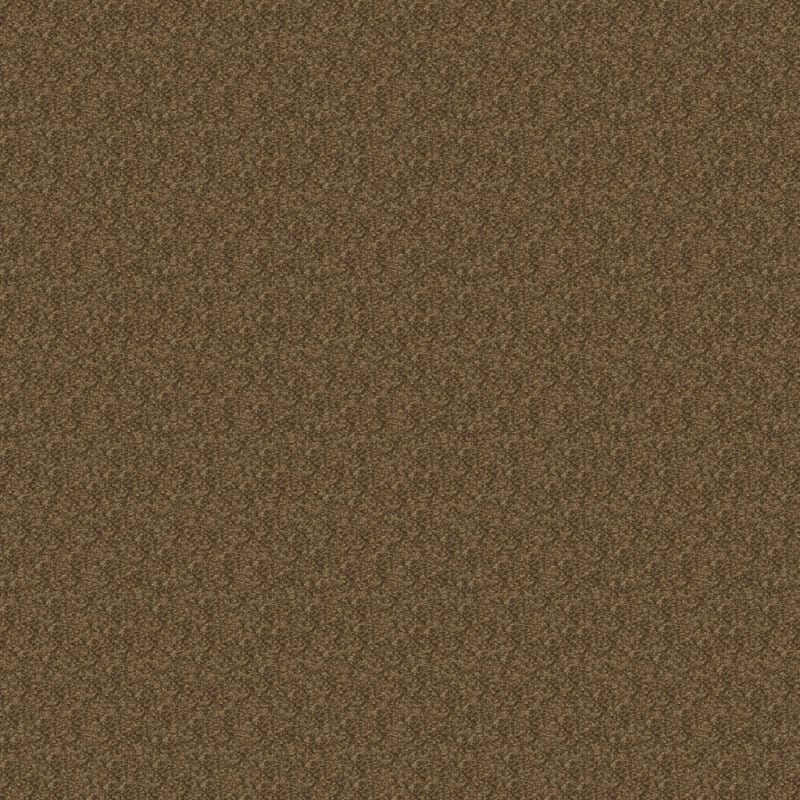 Morgan Bay carpet by Masland