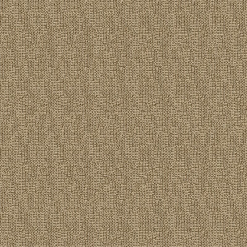 Tresor carpet by Masland