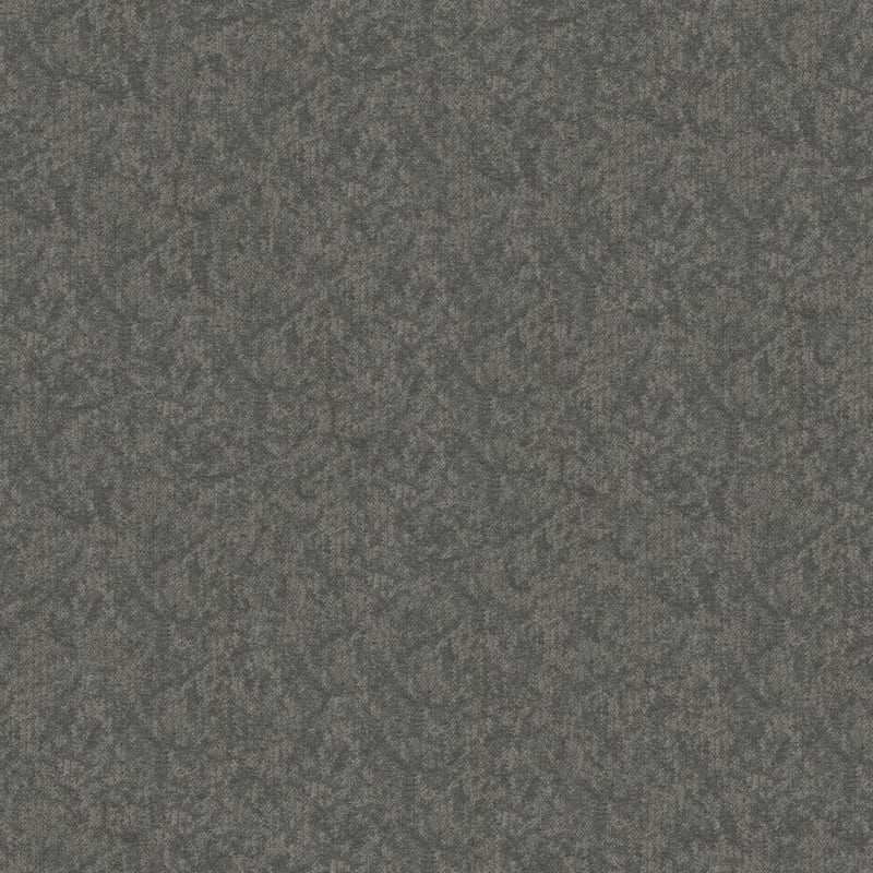 Coast carpet by Masland