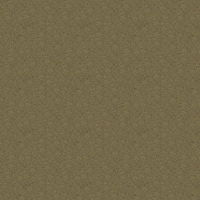 Key West carpet by Masland