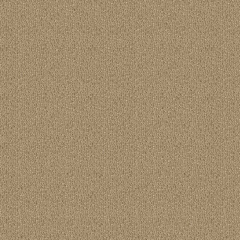 Pinehurst carpet by Masland