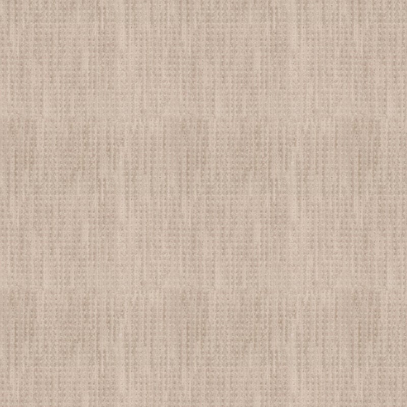 Imagine carpet by Masland