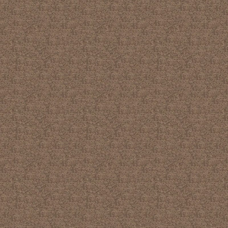 Patriot carpet by Masland