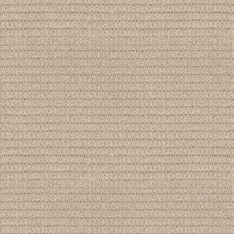 Defined carpet by Masland