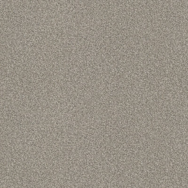 Tracker carpet by Masland