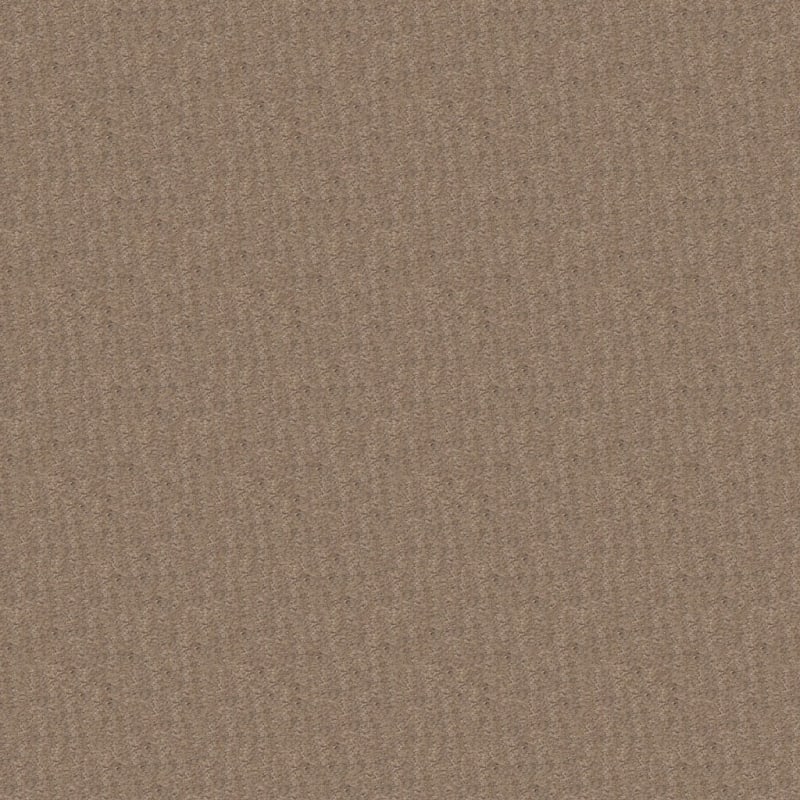 Nature'S Essence carpet by Masland