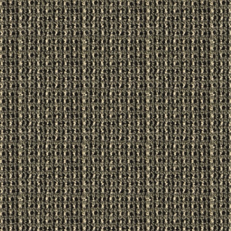 Tresor II carpet by Masland