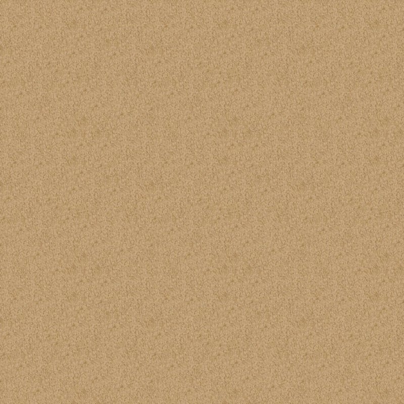 Oceanside carpet by Masland