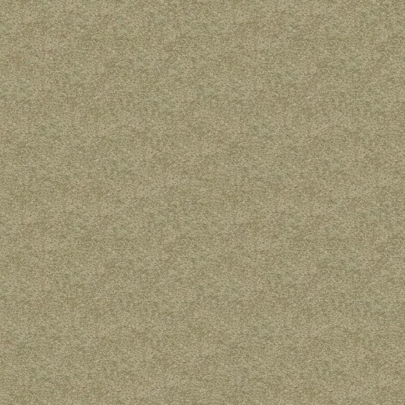 Knockout carpet by Masland