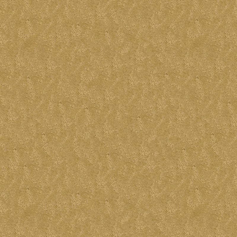 True Luxury carpet by Masland