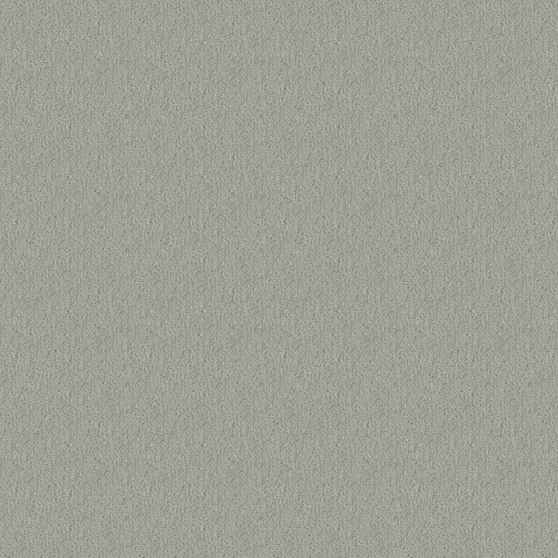 Panache carpet by Masland