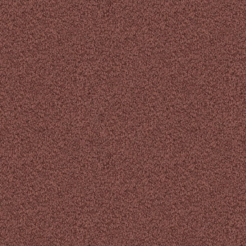 Santa Rosa carpet by Masland