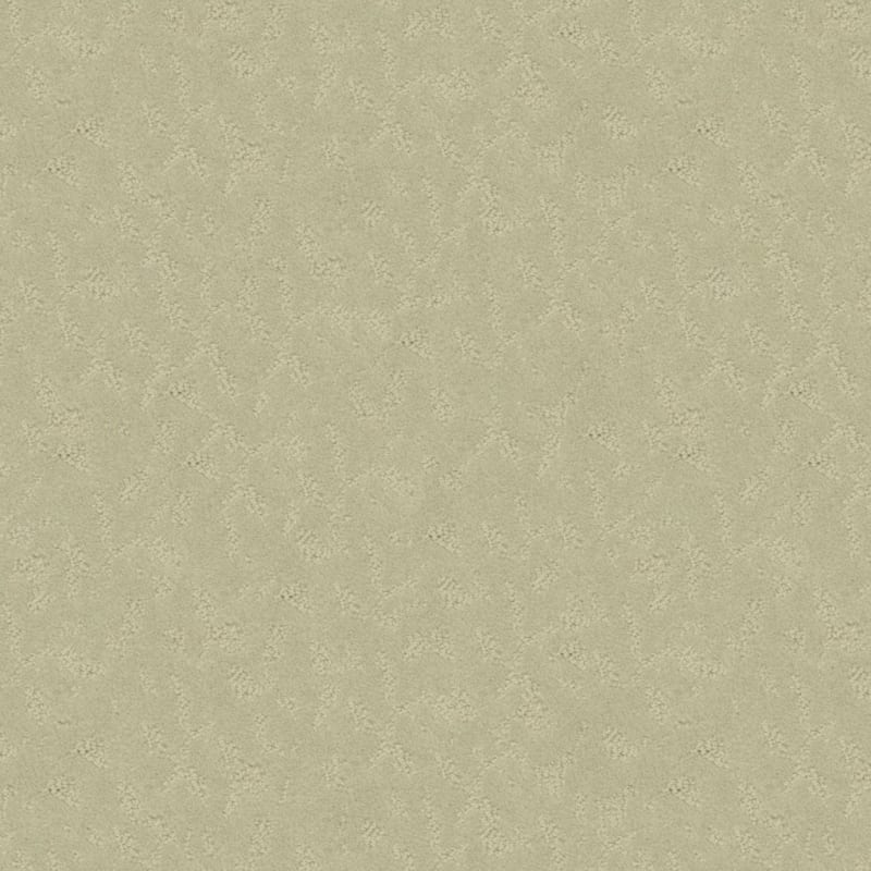 True Luxury carpet by Masland