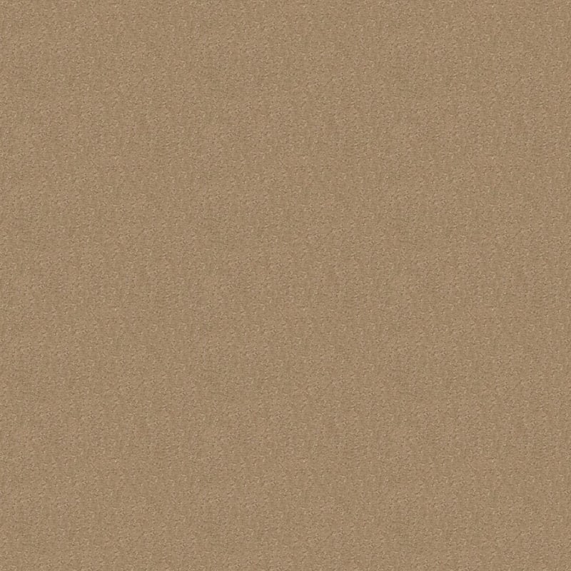 Nature'S Essence carpet by Masland