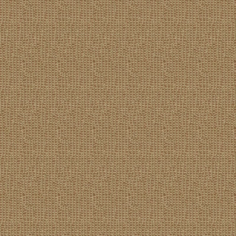 Tresor carpet by Masland
