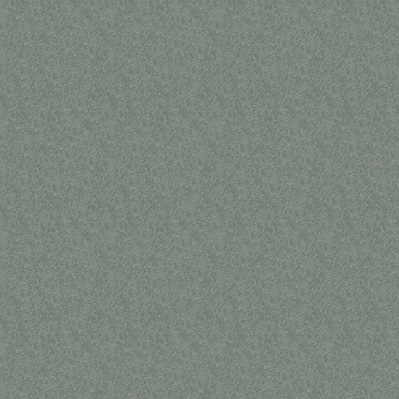 Embrace carpet by Masland