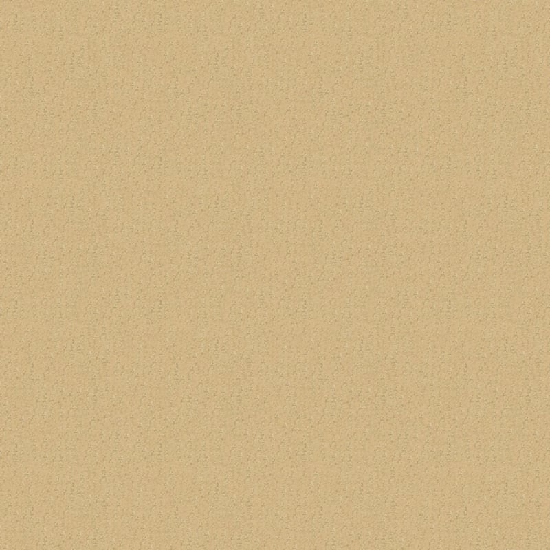 Nature'S Essence carpet by Masland