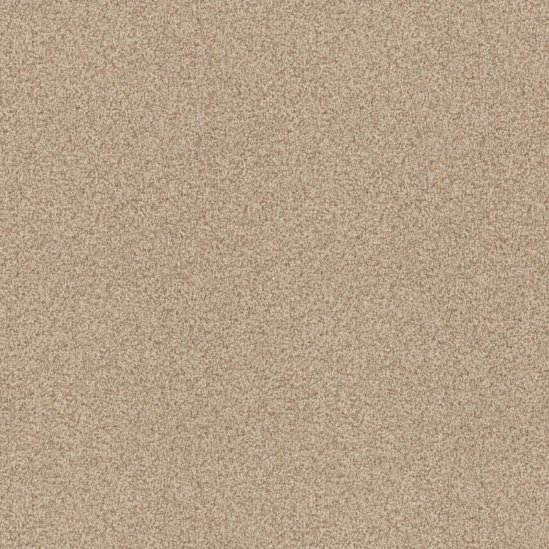Santa Rosa carpet by Masland