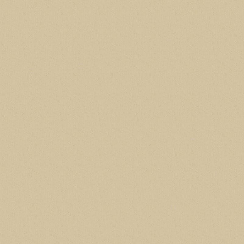 Pinehurst carpet by Masland