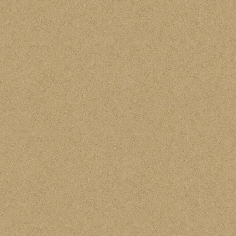 Embrace carpet by Masland