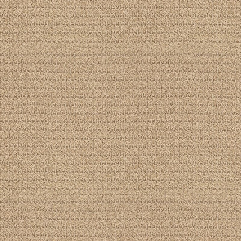 Defined carpet by Masland