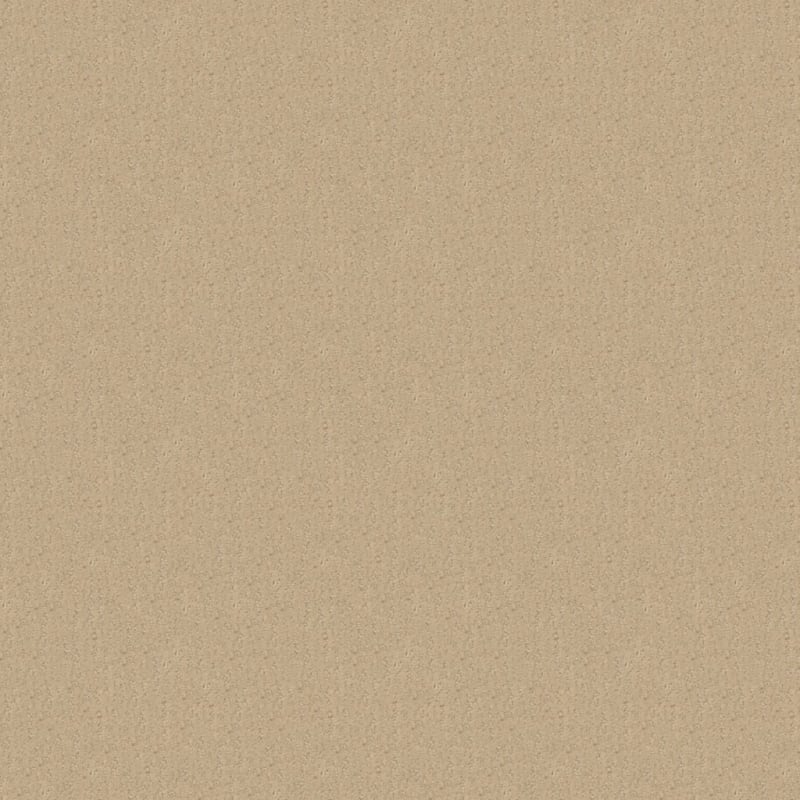 Nature'S Essence carpet by Masland