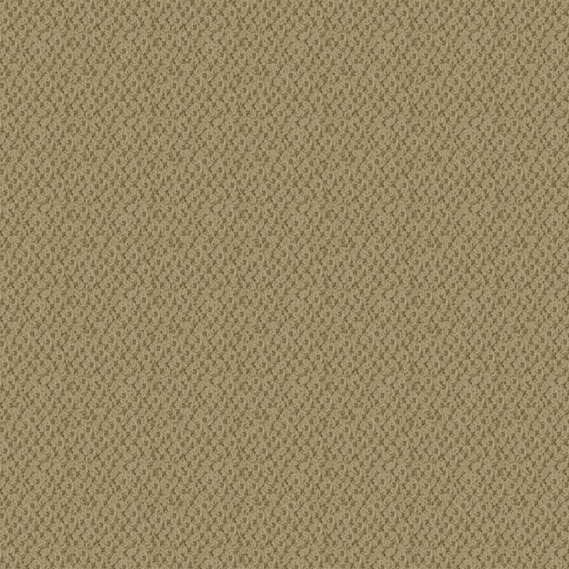 Seurat carpet by Masland