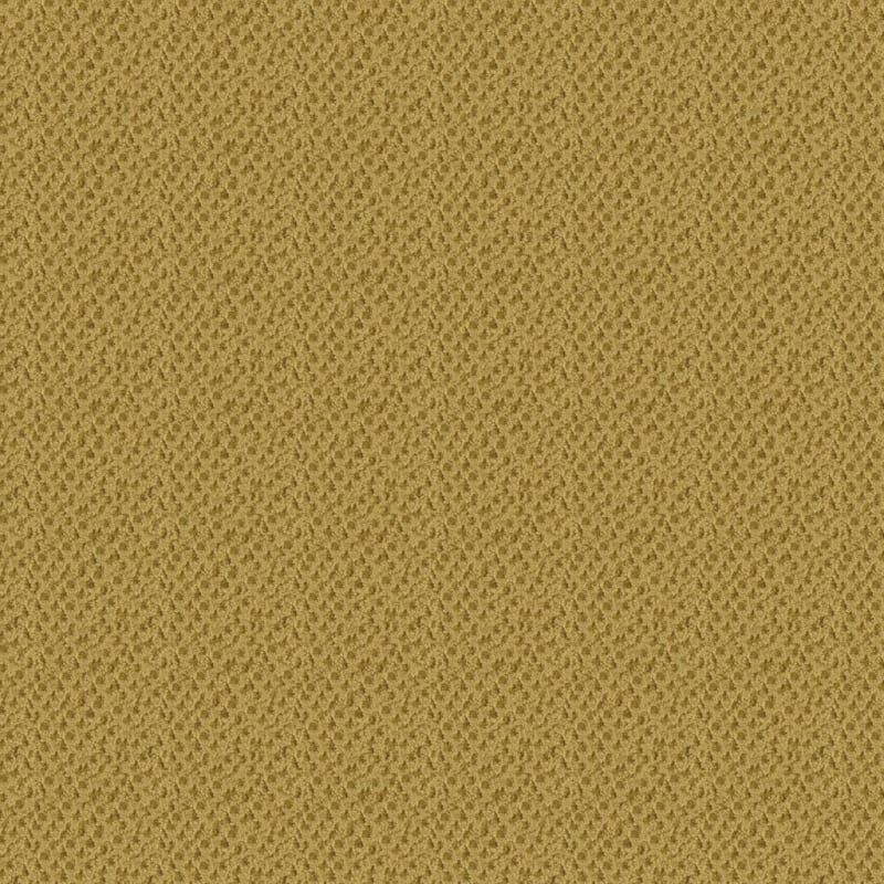 Seurat carpet by Masland