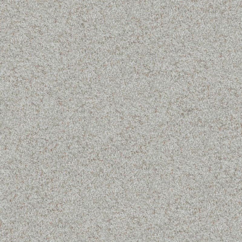 Boca Raton carpet by Masland
