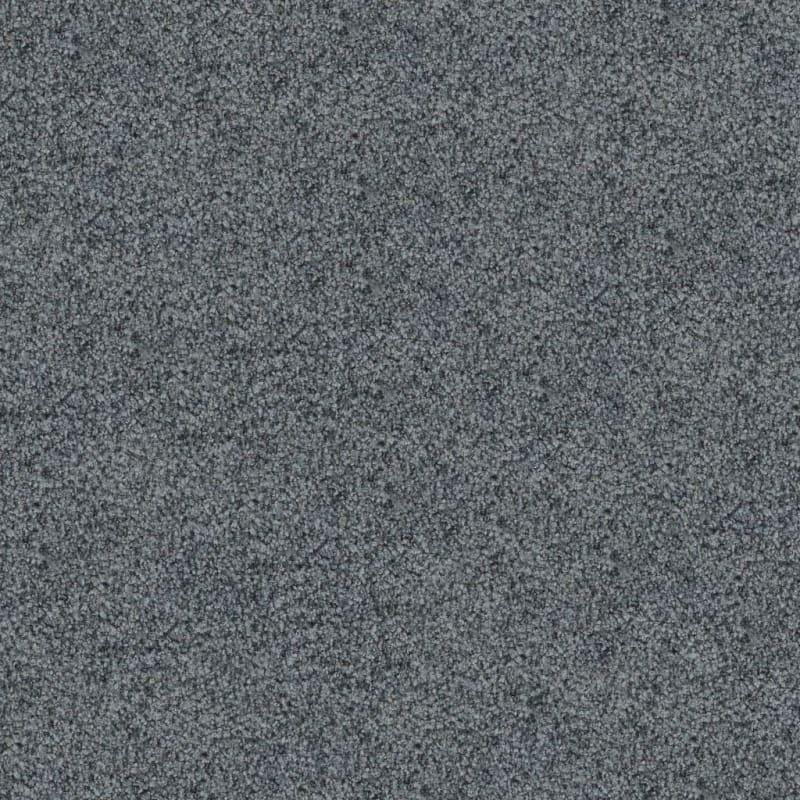 Boca Raton carpet by Masland