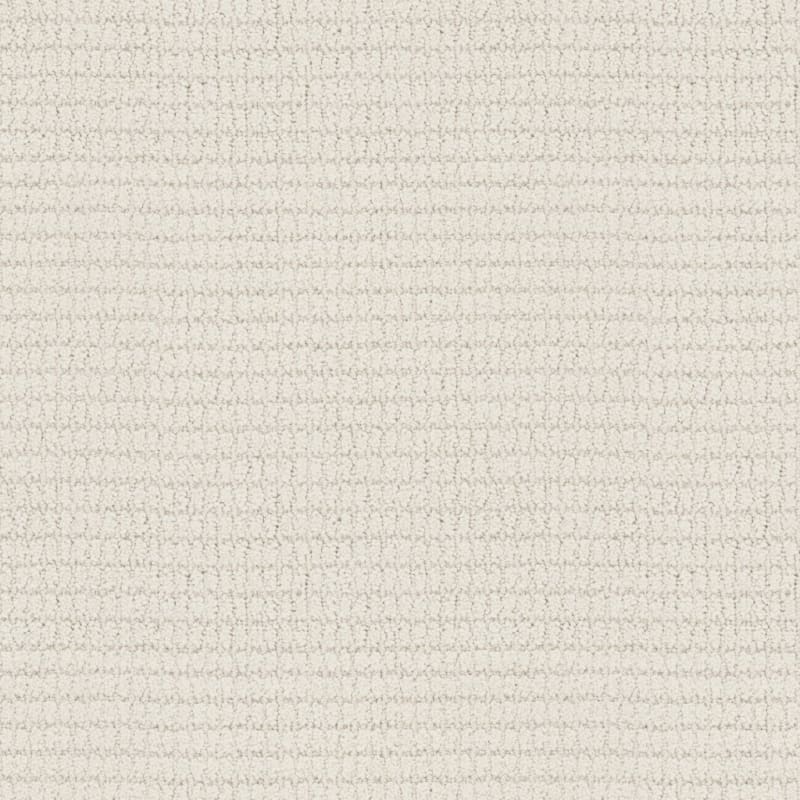 Defined carpet by Masland