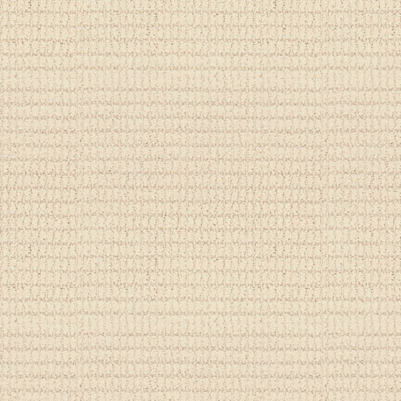 Defined carpet by Masland