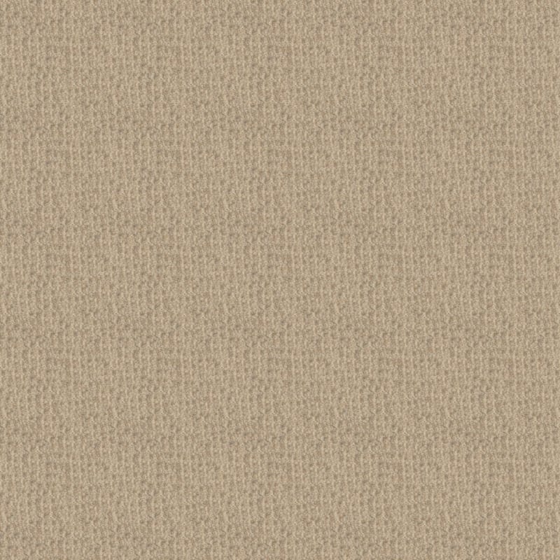 Highland carpet by Masland