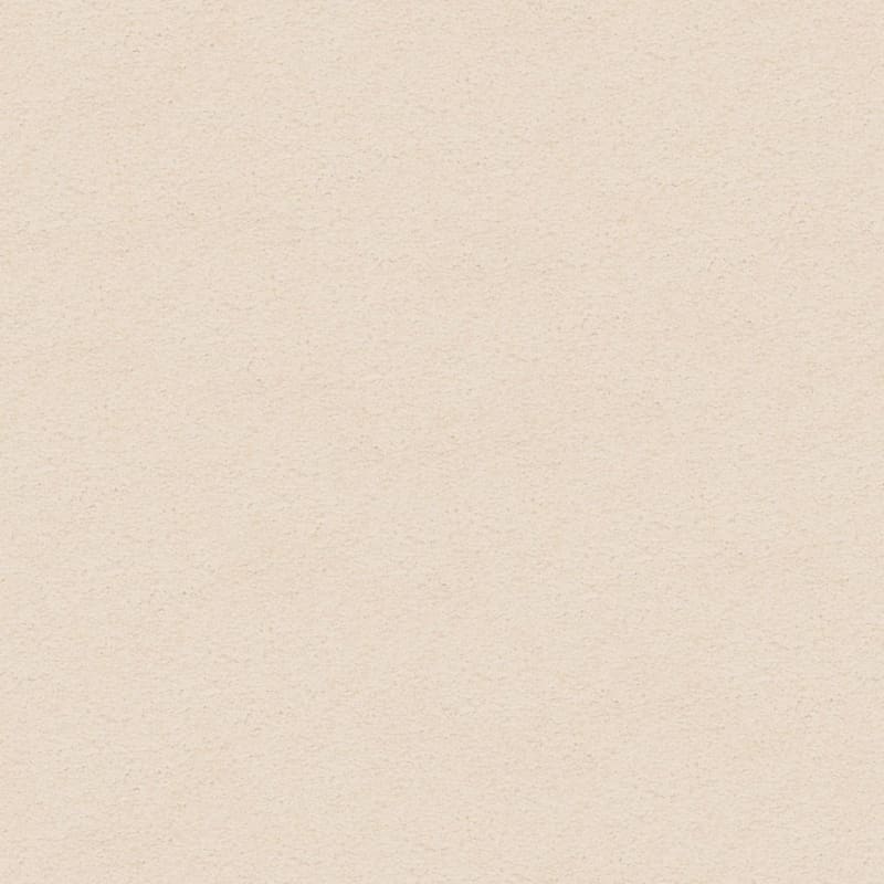 Knockout carpet by Masland