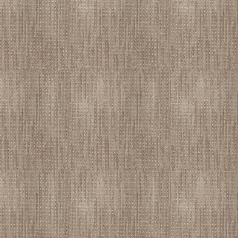 Imagine carpet by Masland