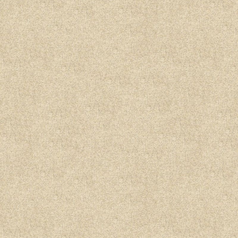 This And That carpet by Masland