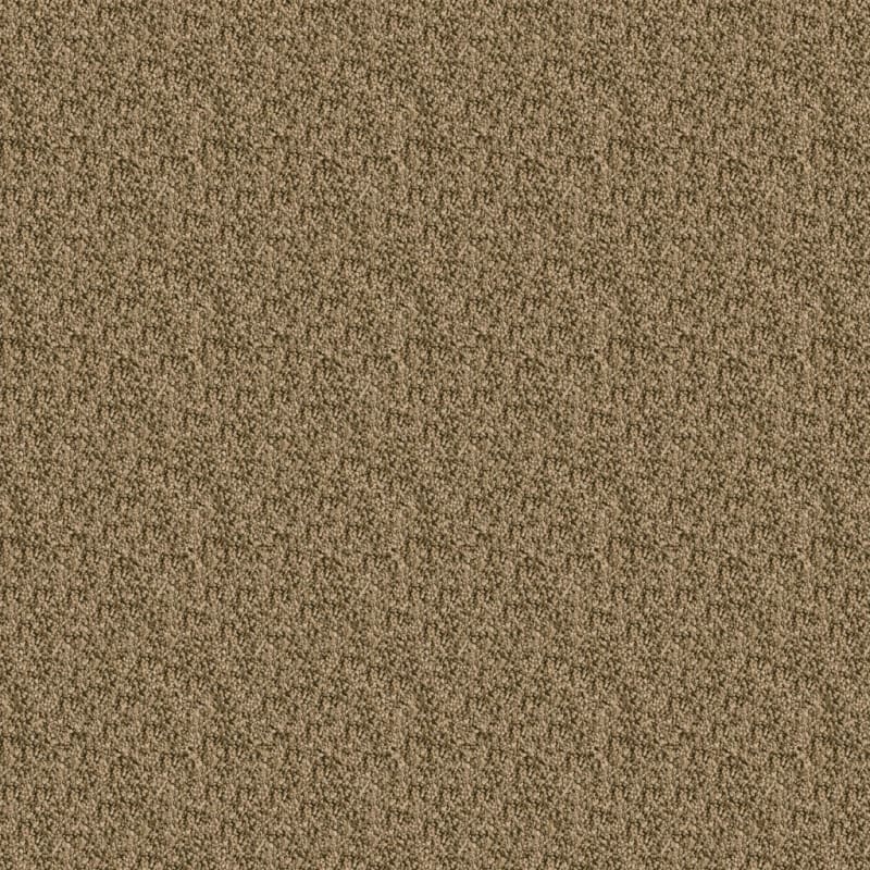 Shangri-La carpet by Masland