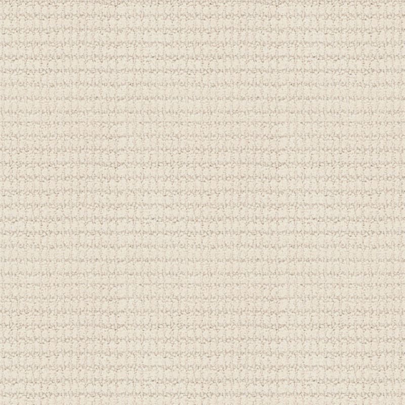 Defined carpet by Masland