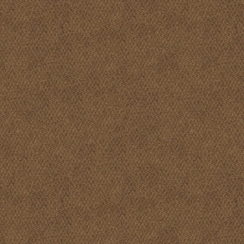 New Hope carpet by Masland