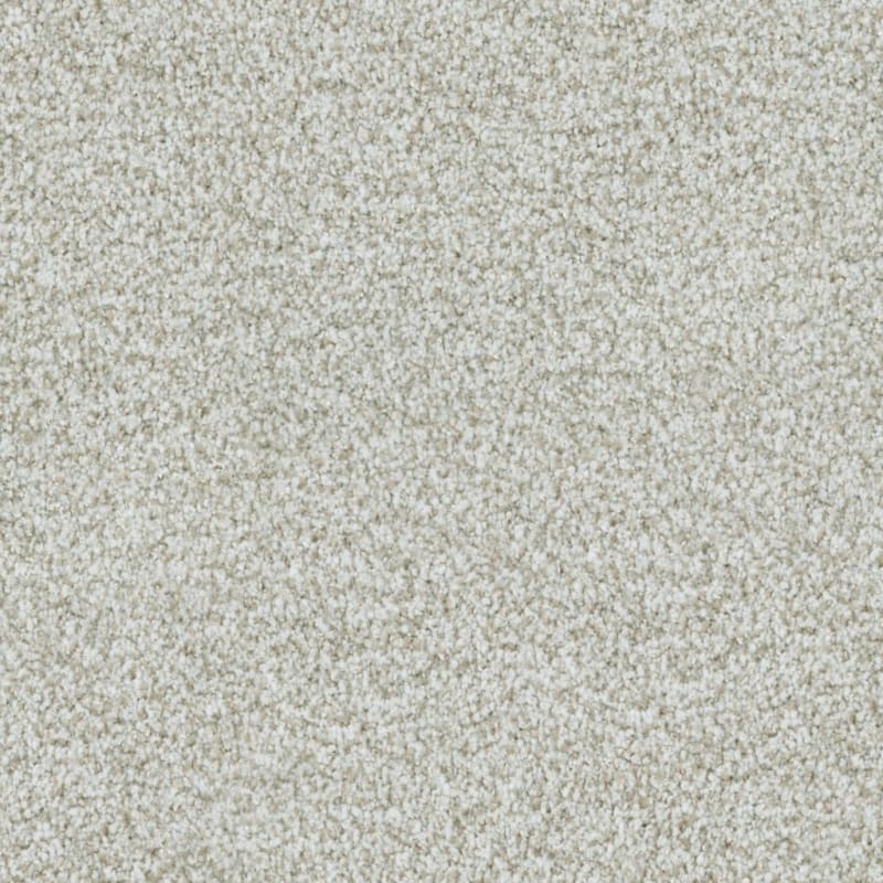 St. Augustine carpet by Masland