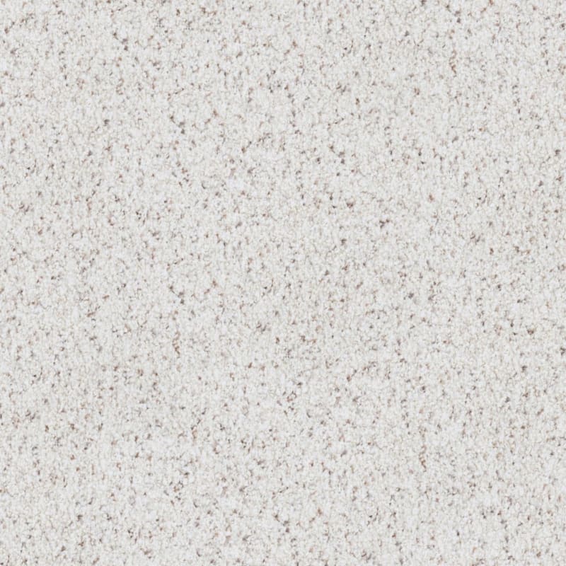 Boca Raton carpet by Masland