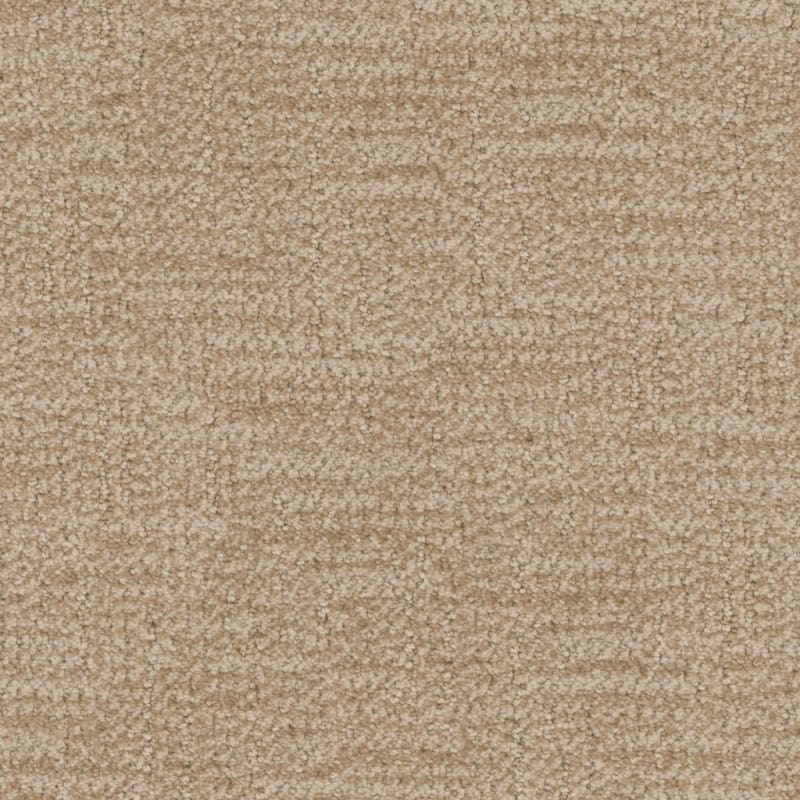 Prestigious carpet by Masland