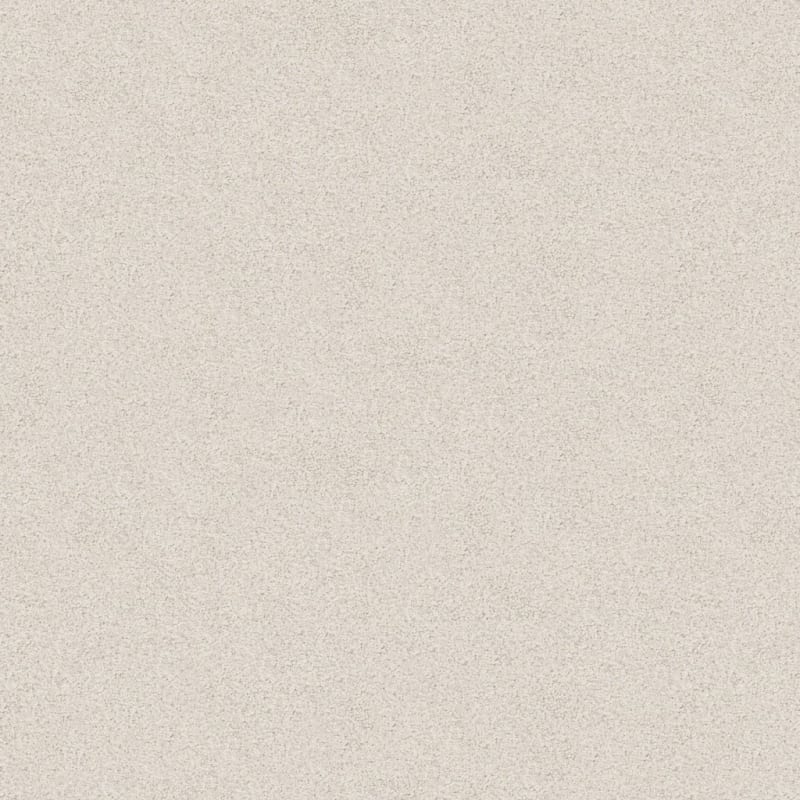 Tracker carpet by Masland