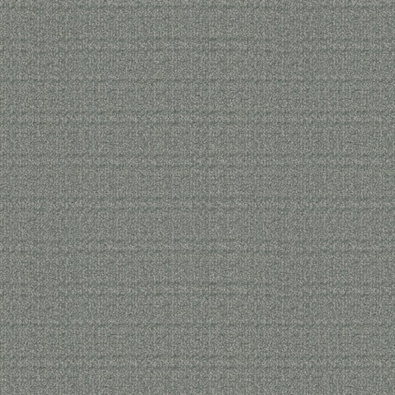 Purebred carpet by Masland