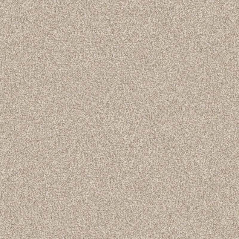 Tracker carpet by Masland